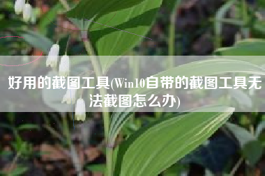 好用的截图工具(Win10自带的截图工具无法截图怎么办)