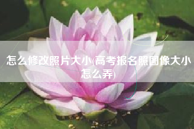 怎么修改照片大小(高考报名照图像大小怎么弄)