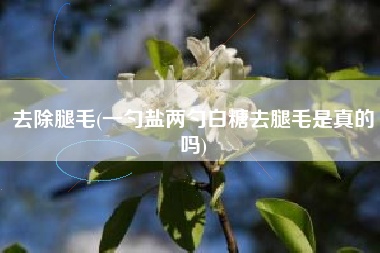 去除腿毛(一勺盐两勺白糖去腿毛是真的吗)