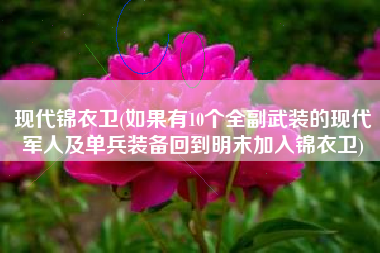 现代锦衣卫(如果有10个全副武装的现代军人及单兵装备回到明末加入锦衣卫)
