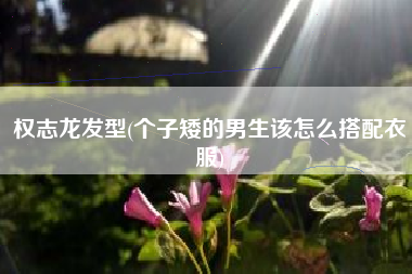 详细阅读:权志龙发型(个子矮的男生该怎么搭配衣服) 权志龙发型(个子矮的男生该怎么搭配衣服)