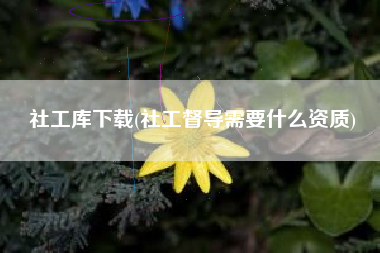 社工库下载(社工督导需要什么资质)