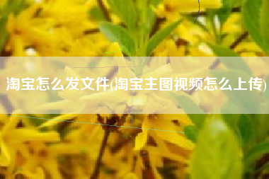 淘宝怎么发文件(淘宝主图视频怎么上传)