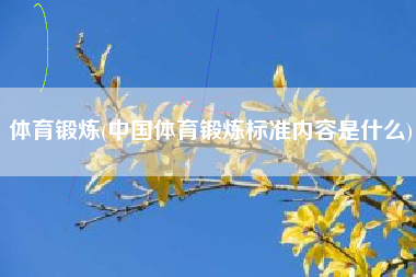 体育锻炼(中国体育锻炼标准内容是什么)