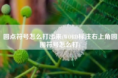 圆点符号怎么打出来(WORD标注右上角圆圈符号怎么打)