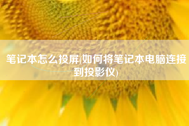 笔记本怎么投屏(如何将笔记本电脑连接到投影仪)