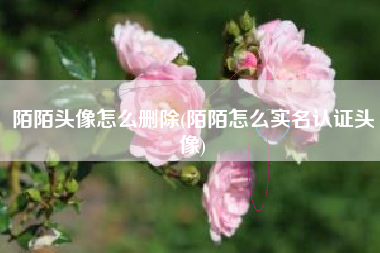 陌陌头像怎么删除(陌陌怎么实名认证头像)