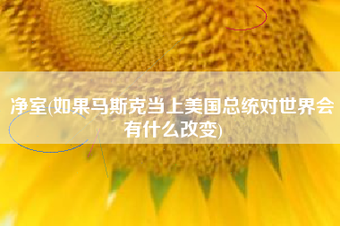 净室(如果马斯克当上美国总统对世界会有什么改变)