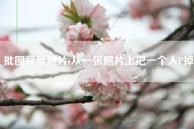 批图背景照片(从一张照片上把一个人P掉)