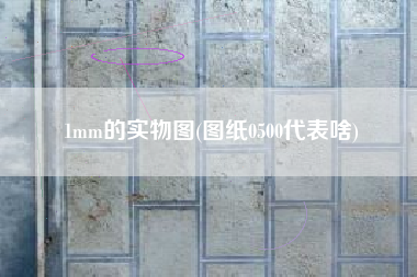 1mm的实物图(图纸0500代表啥)