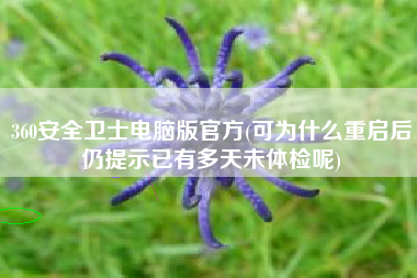 360安全卫士电脑版官方(可为什么重启后仍提示已有多天未体检呢)