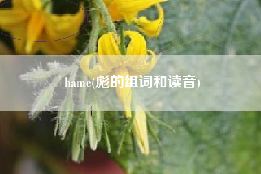 hame(彪的组词和读音)