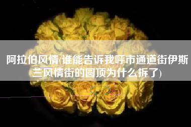 阿拉伯风情(谁能告诉我呼市通道街伊斯兰风情街的圆顶为什么拆了)