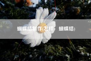 蝴蝶结制作(怎样挷蝴蝶结)