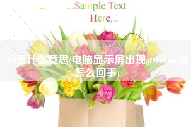 dvi是什么意思(电脑显示屏出现attention是怎么回事)