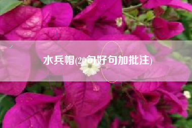 水兵帽(20句好句加批注)