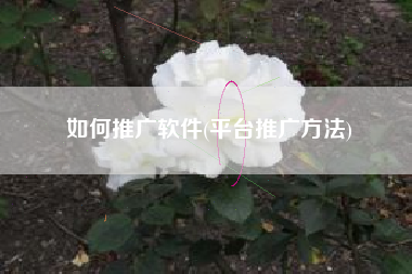 如何推广软件(平台推广方法)
