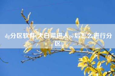 dg分区软件(大白菜进入pe后怎么进行分区)