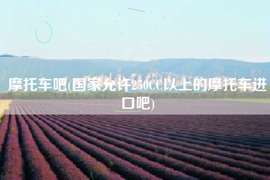 摩托车吧(国家允许250CC以上的摩托车进口吧)