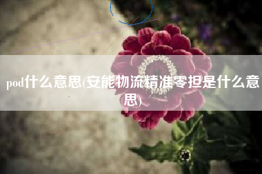 pod什么意思(安能物流精准零担是什么意思)