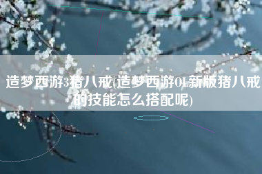 造梦西游3猪八戒(造梦西游OL新版猪八戒的技能怎么搭配呢)