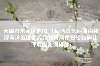 天津市东丽区地图(北辰西青东丽津南和滨海这五区的综合教育房屋投资和居住环境应如何排序)