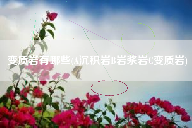 变质岩有哪些(A沉积岩B岩浆岩C变质岩)