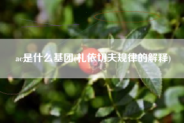 ac是什么基团(札依切夫规律的解释)
