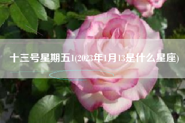 详细阅读:十三号星期五1(2023年1月13是什么星座) 十三号星期五1(2023年1月13是什么星座)