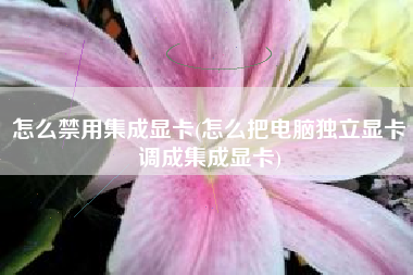 怎么禁用集成显卡(怎么把电脑独立显卡调成集成显卡)