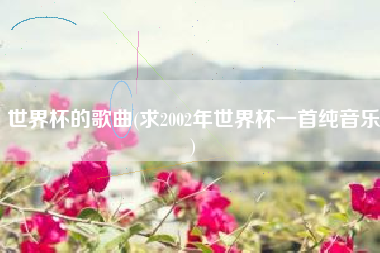 世界杯的歌曲(求2002年世界杯一首纯音乐)