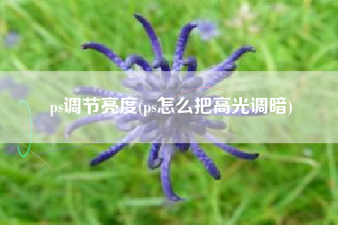 ps调节亮度(ps怎么把高光调暗)