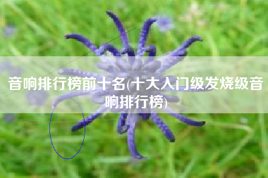 音响排行榜前十名(十大入门级发烧级音响排行榜)