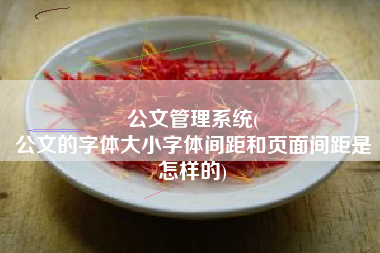 公文管理系统(
公文的字体大小字体间距和页面间距是怎样的) 公文管理系统(
公文的字体大小字体间距和页面间距是怎样的)