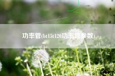 功率管(bt15t120功率管参数)