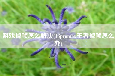 游戏掉帧怎么解决(13promax王者掉帧怎么办)