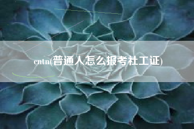cntn(普通人怎么报考社工证)