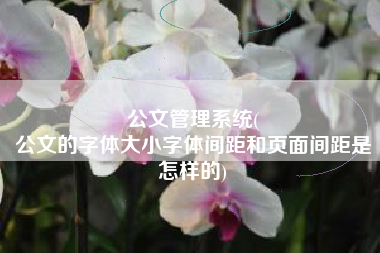 公文管理系统(
公文的字体大小字体间距和页面间距是怎样的) 公文管理系统(
公文的字体大小字体间距和页面间距是怎样的)