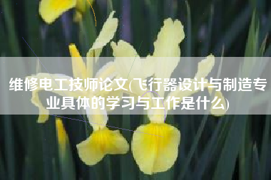 维修电工技师论文(飞行器设计与制造专业具体的学习与工作是什么)