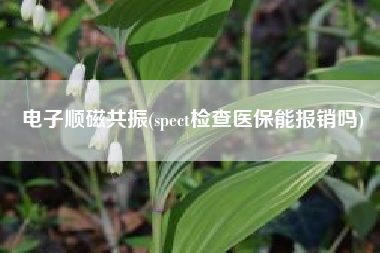 电子顺磁共振(spect检查医保能报销吗)