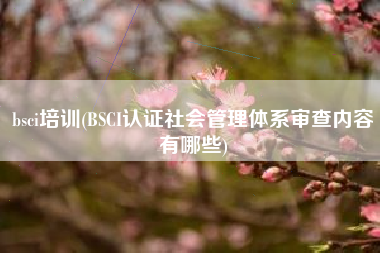 bsci培训(BSCI认证社会管理体系审查内容有哪些)