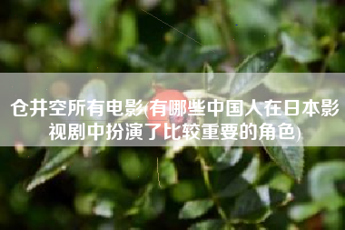 仓井空所有电影(有哪些中国人在日本影视剧中扮演了比较重要的角色)