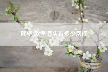 欧堡(欧堡酒店有多少房间)