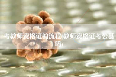考教师资格证的流程(教师资格证考公基吗)