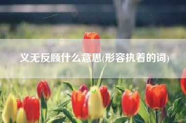 义无反顾什么意思(形容执着的词)