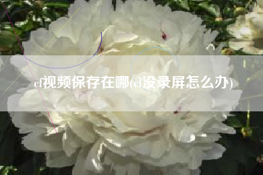 cf视频保存在哪(cf没录屏怎么办)