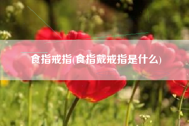 食指戒指(食指戴戒指是什么)
