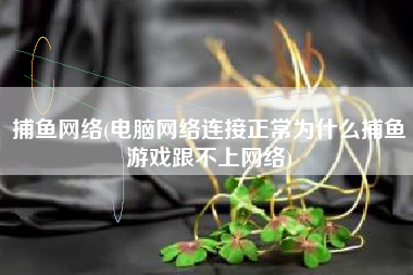 捕鱼网络(电脑网络连接正常为什么捕鱼游戏跟不上网络)