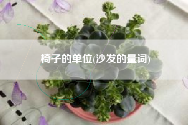 椅子的单位(沙发的量词)