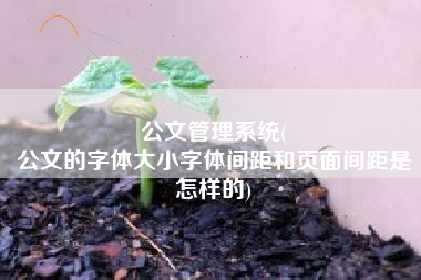 公文管理系统(
公文的字体大小字体间距和页面间距是怎样的) 公文管理系统(
公文的字体大小字体间距和页面间距是怎样的)